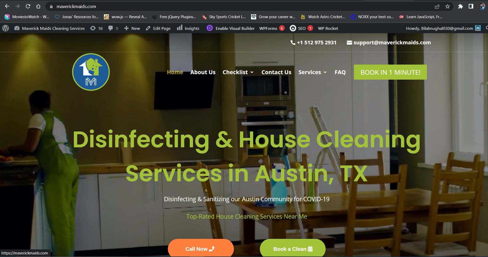 Mevric Maids Website
